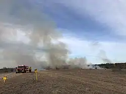 Prescribed burn performed in Block M of the Louis René Barrera Indiangrass Wildlife Sanctuary