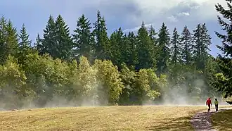 A walking path in the reserve.