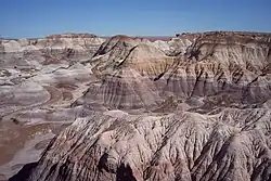 Painted Desert with logs of petrified wood, Petrified Forest National Park