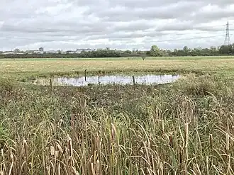 circular pond in a grassy field