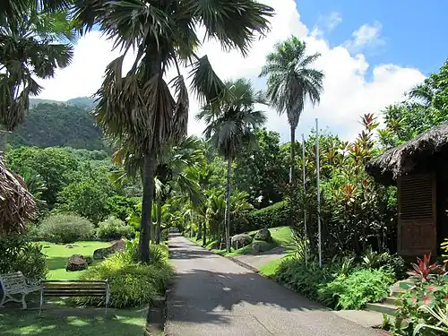 The main entry passage of the Botanical Garden