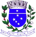 Official seal of Alto Piquiri