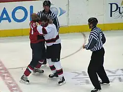 Donald Brashear fighting Sheldon Brookbank.