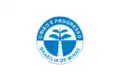 Flag of Brasília de Minas