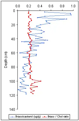 The concentration of brassicasterol down a sediment core from Loch Striven, Scotland together with it ratio to cholesterol