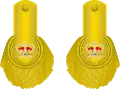 1810 to 1855 lieutenant colonel's shoulder rank insignia