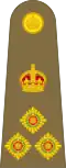 Colonel commandant