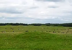 Pair of bowl barrows 405 m east of East Water Drove (Part of Priddy Nine Barrows Cemetery)