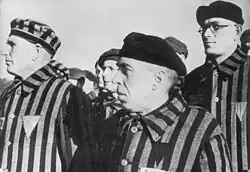 Single-triangle badges in various colors visible on Sachsenhausen concentration camp detainees