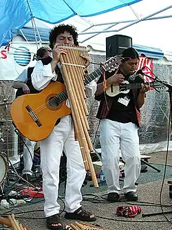 Two musicians, one playing pan flute and the other playing ukulele