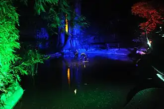 Japanese Garden at night