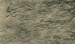 Photo of the graffito (Black and white image of ancient stone-carved symbols)