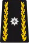 OF-6 - Brigadier general
