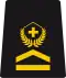 OR-5b - Sergeant first class