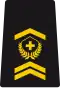 WO-1 - Warrant officer