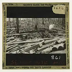 Log dump operated by steam winch at Saxton's Mill- East Tanjil