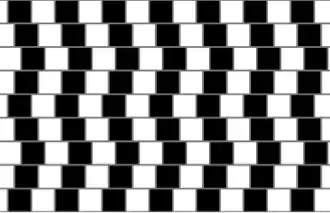 Café wall illusion: the parallel horizontal lines in this image appear sloped.