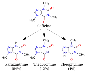A diagram featuring 4 skeletal chemical formulas. Top (caffeine) relates to similar compounds paraxanthine, theobromine and theophylline.