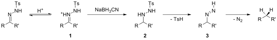Scheme 9. Mechanistic proposal for the Caglioti reaction