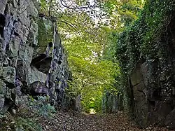 Calverley Cutting, with the bridge of Clara Drive in the background