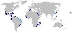 Bignose shark geographic range