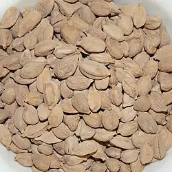 White cardamom pods in a bowl