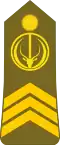 Sergent major (Chadian Ground Forces)