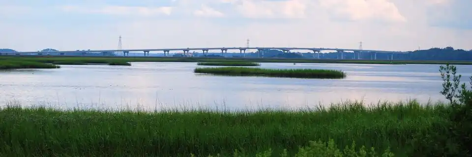 Charles E. Bennett Memorial Bridge