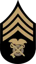 US chevron - quartermaster sergeant insignia (1902–1909) buff on black with blue detail.