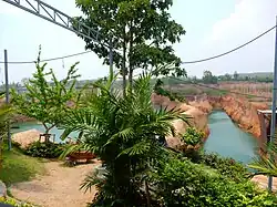 The picture features some trees and bushes behind which is a lake. There are also several metal poles to which are attached what look to be power lines.