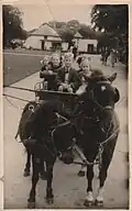Children on a pony carriage ride, 1954