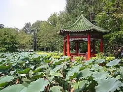 Pavilion in the Taiwan Botanical Gardens