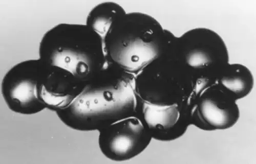 Cluster of ice grains in wet snow at a low liquid content—grain crystals range 0.5 to 1.0 mm.