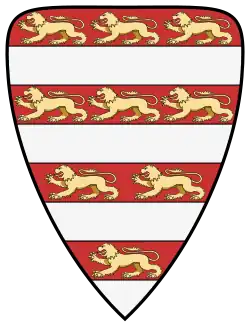 The "Árpád stripes": four silver and four red stripes