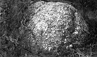 Cobble bed in Hellam Conglomerate Member