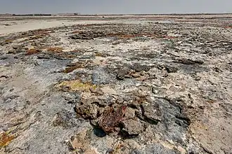 Beachrock in Freiha.