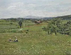 Children playing on a summer meadow