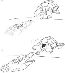 Hypothetical interactions between a crocodilian and Aldabrachelys