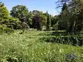 View of St Machar's Cathedral spires from the Arboretum