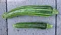 Slender green Cocozzelle squash