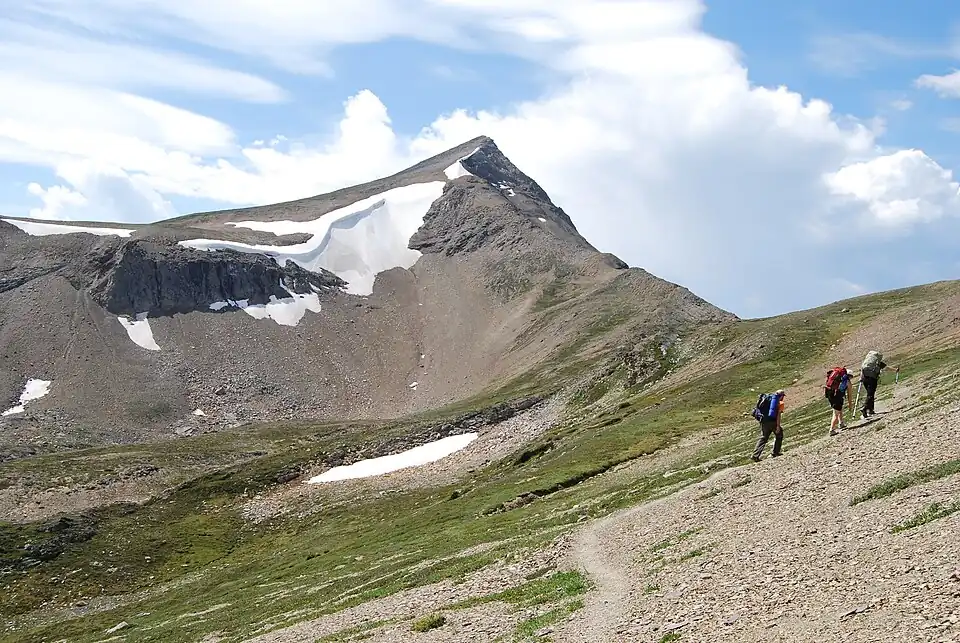 Curator Mountain from Skyline Trail