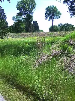 A picture of part of the curtain wall