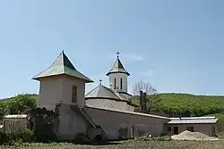Mareș Băjescu court in Băjești