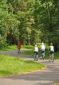 Cyclists on Neuse River Trail