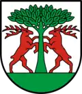 Coat of arms of Fachsenfeld