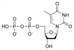 Skeletal formula of thymidine diphosphate, 2- negative charge