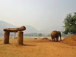 Elephant Nature Park, April 2024