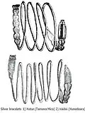 Bracelets Vaidei (Hunedoara County) and Hetiur (Mures County).[167]