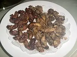 Deep-fried golden cicada (炸金蝉; 炸金蟬; zhájīnchán