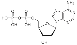 Skeletal formula of adenosine diphosphate